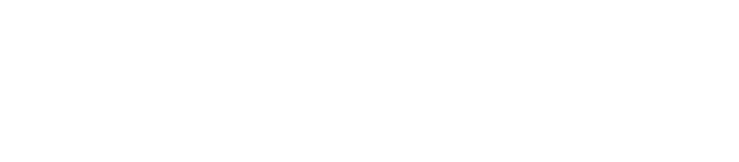 BiasFlow